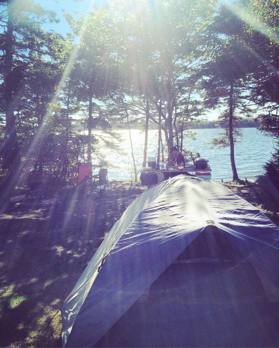 Porters Lake Provincial Park Campground Off-Leash Dog Friendly