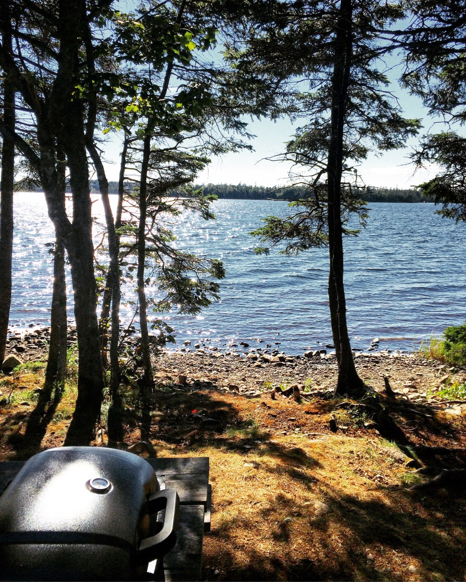 Porters Lake Provincial Park Campground Off-Leash Dog Friendly