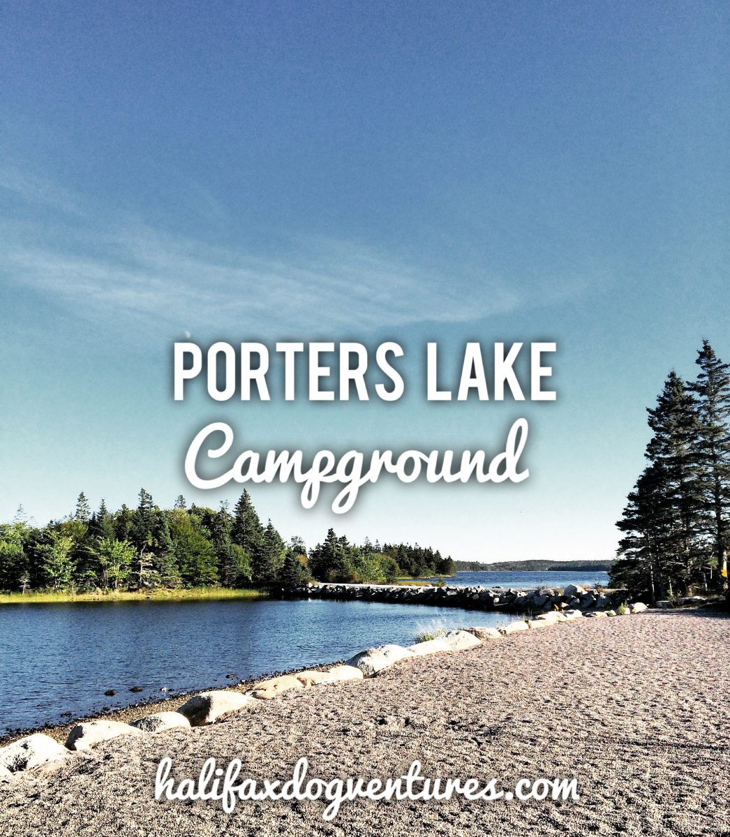 Porters Lake Provincial Park Campground Off-Leash Dog Friendly