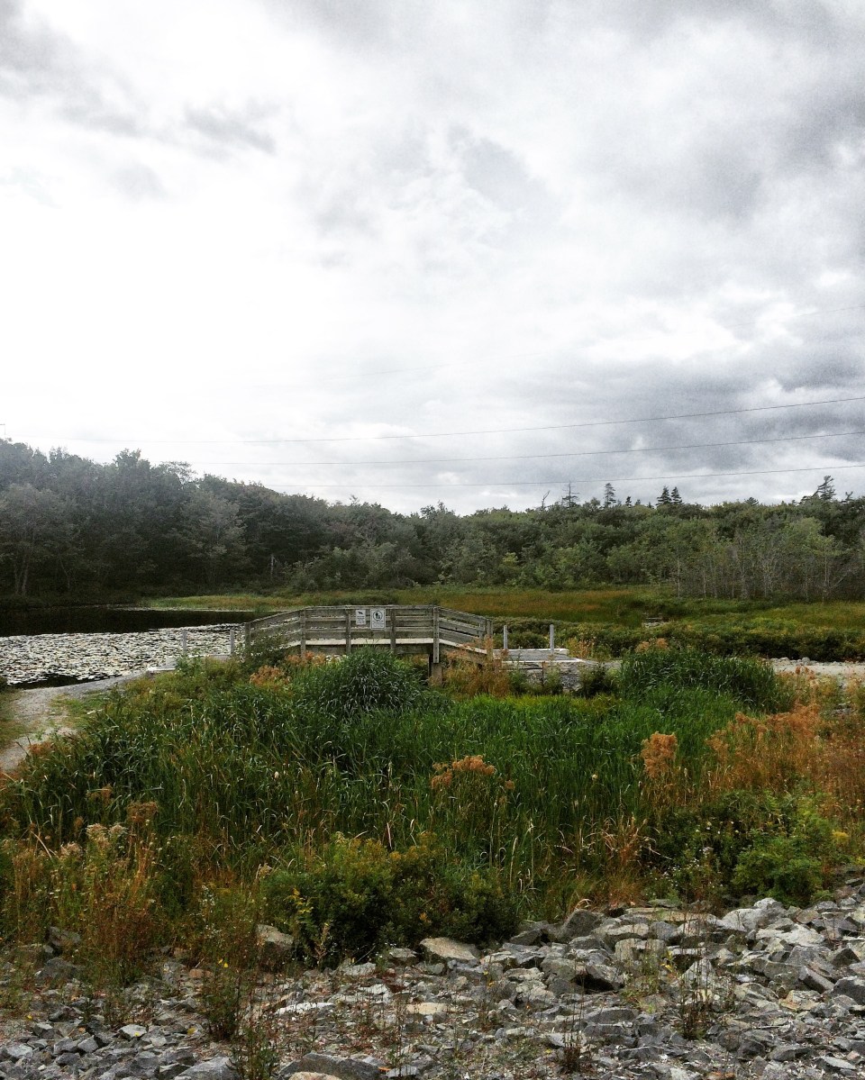 Belchers Marsh Park in Clayton Park, Halifax, Nova Scotia Off-Leash Dog Friendly