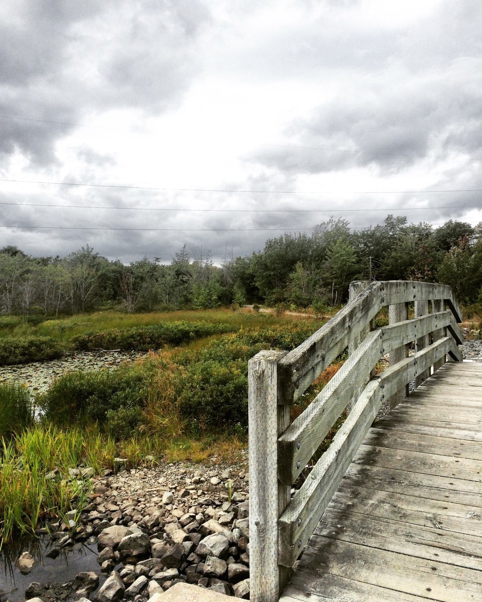 Belchers Marsh Park in Clayton Park, Halifax, Nova Scotia Off-Leash Dog Friendly