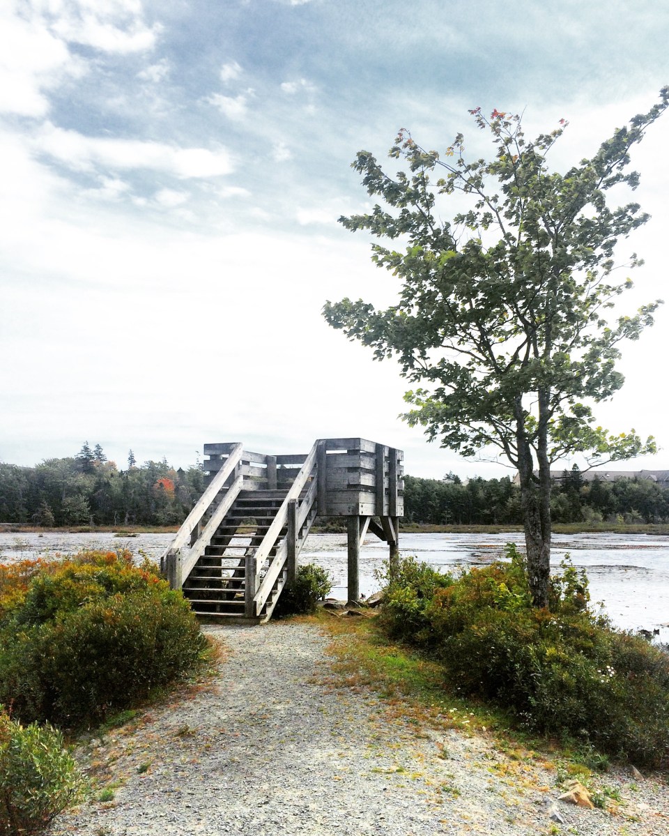 Belchers Marsh Park in Clayton Park, Halifax, Nova Scotia Off-Leash Dog Friendly