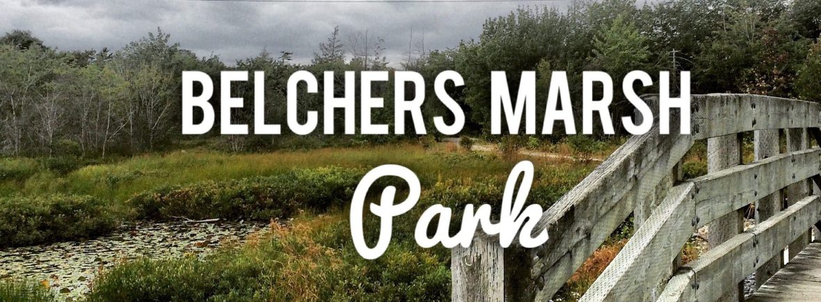 Belchers Marsh Park in Clayton Park, Halifax, Nova Scotia with Off-Leash Dog