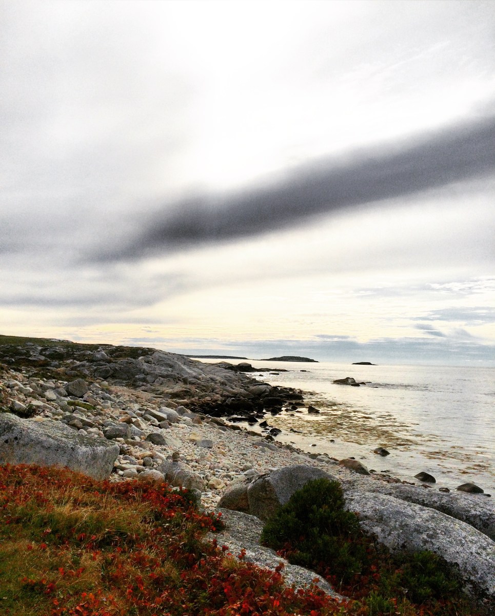 High Head Trail in Halifax / HRM with Off-Leash Dog