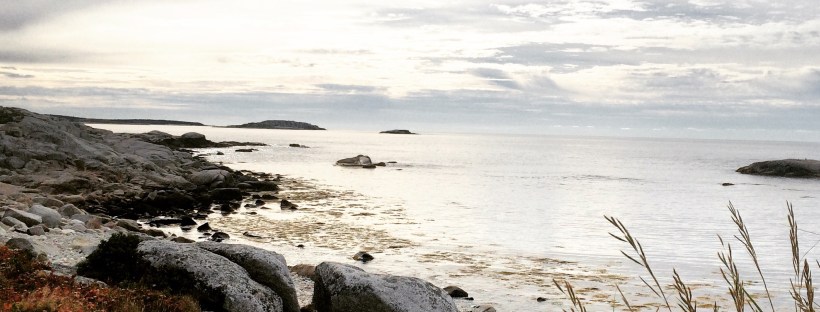 High Head Trail in Halifax / HRM with Off-Leash Dog