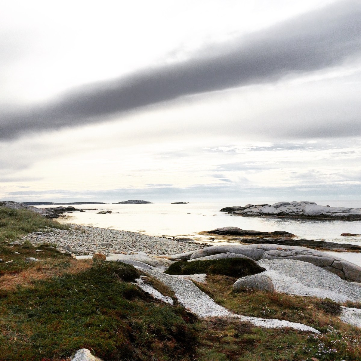 High Head Trail in Halifax / HRM with Off-Leash Dog