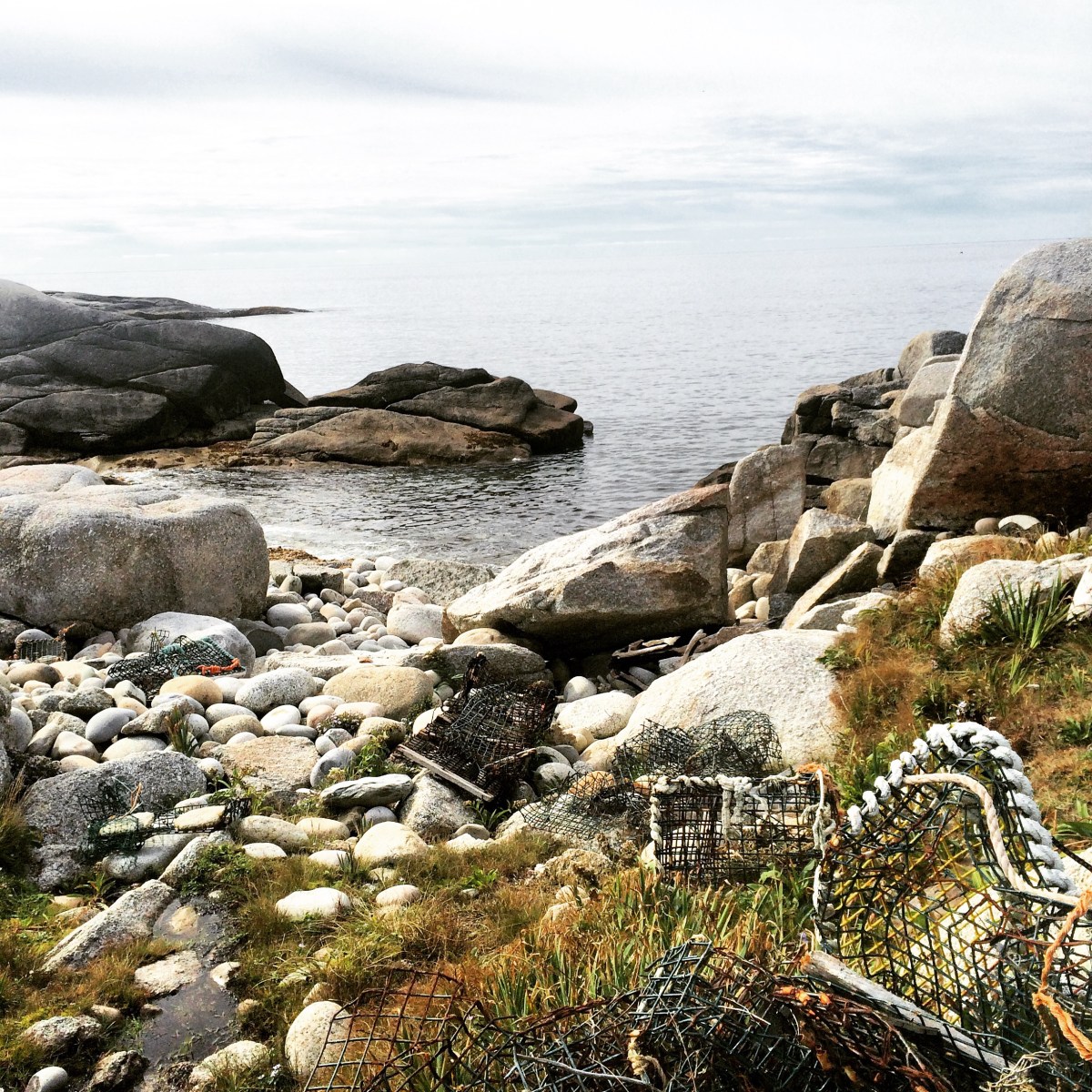 High Head Trail in Halifax / HRM with Off-Leash Dog