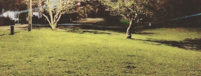 Halifax Peninsula HRM Off-Leash Sports Fields