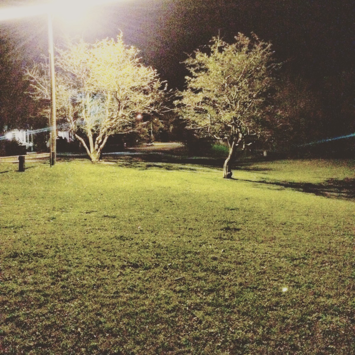 Halifax Peninsula HRM Off-Leash Sports Fields