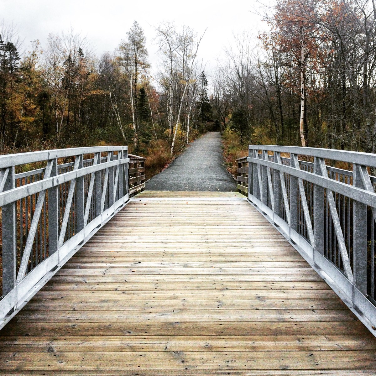Bissett Lake Trail in Cole Harbour, Nova Scotia