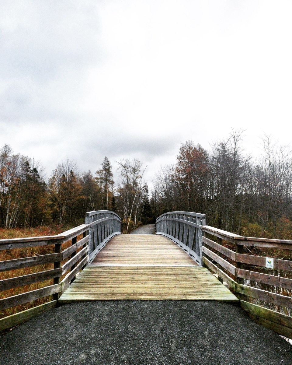 Bissett Lake Trail in Cole Harbour, Nova Scotia