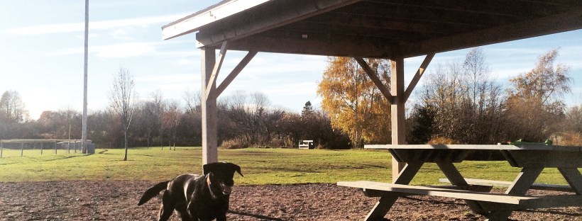 Truro / Bible Hill Off-Leash Dog Park in Truro, Nova Scotia